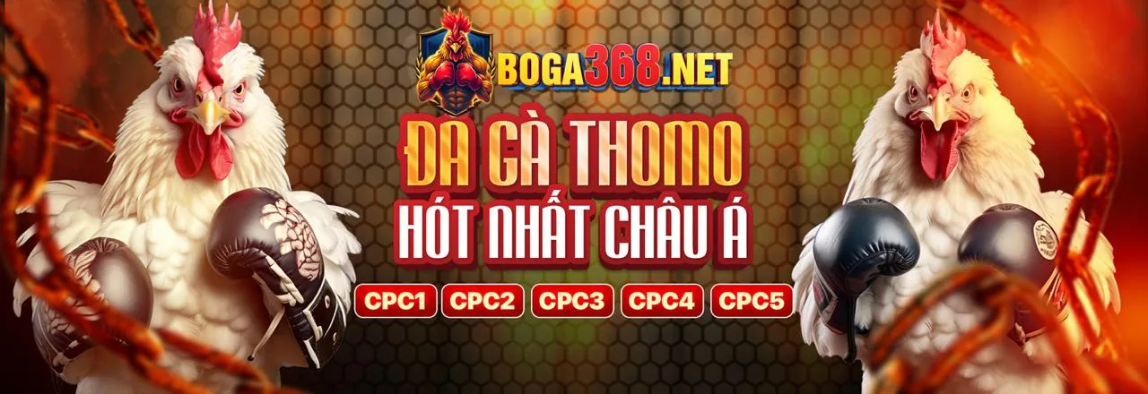 Đội ngũ hỗ trợ khách hàng CS2 Code sẵn sàng giúp đỡ